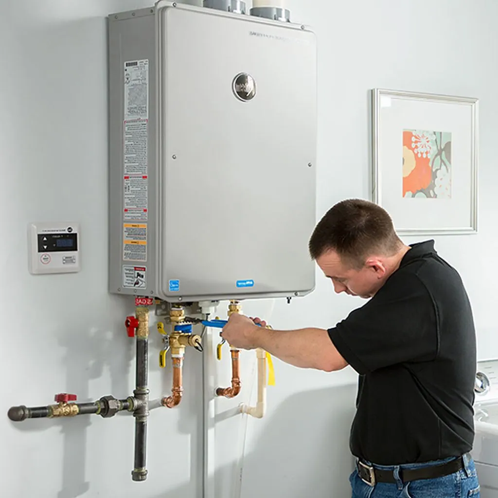 tankless water heater repair in Branch, MI